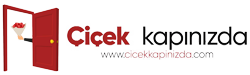 Çiçek Kapınızda logo